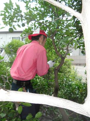 �s�p�i��������E����